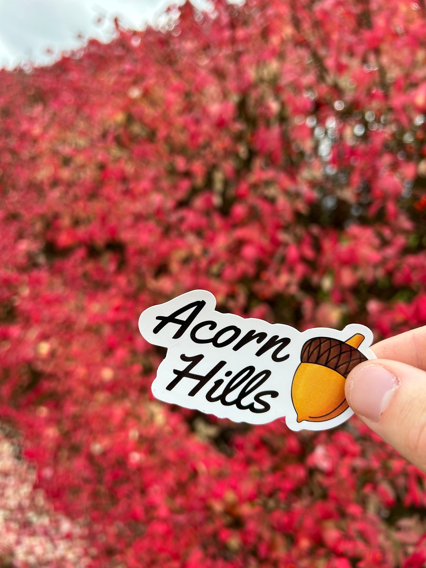 Logo Sticker (Pack of 3)