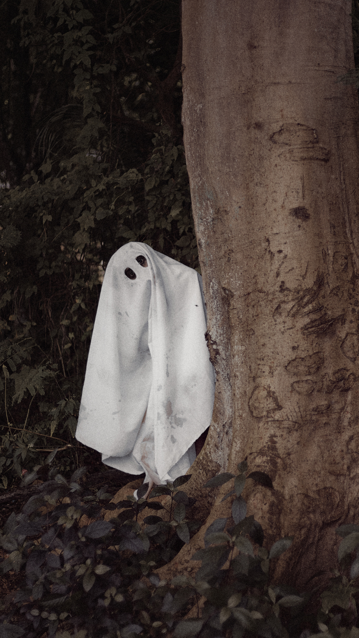 2026 Boo Bag